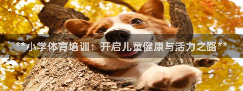 欧陆娱乐注册链接安全吗：**小学体育培训：开启儿童健