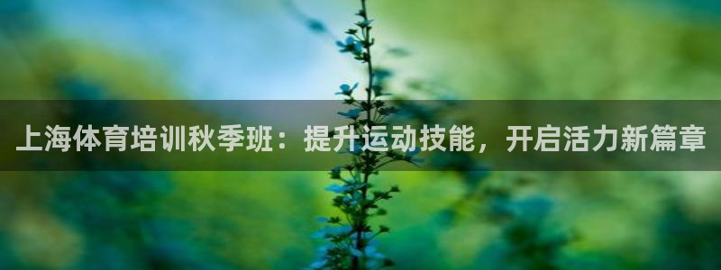 欧陆娱乐推广奖金多少：上海体育培训秋季班：提升运动技