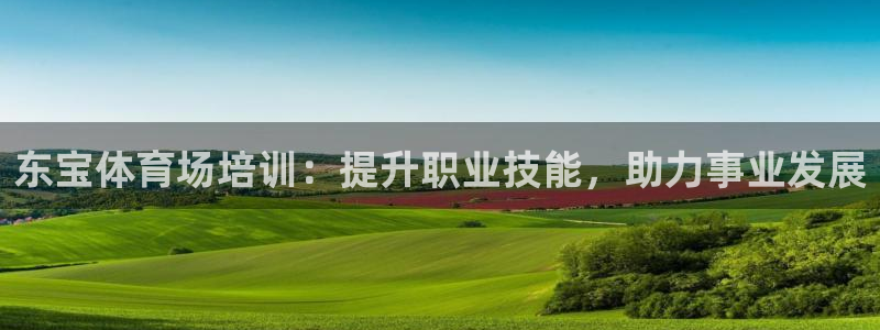 欧陆娱乐平台咋样赚钱：东宝体育场培训：提升职业技能，