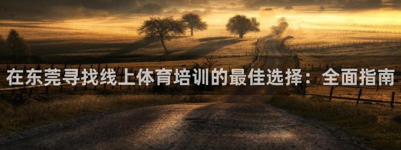 欧陆娱乐注册代理：在东莞寻找线上体育培训的最佳选择：