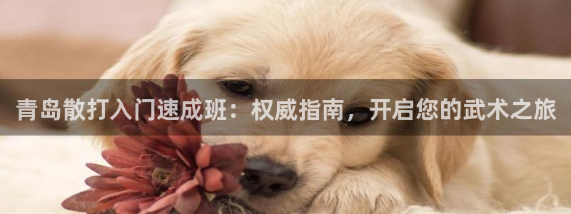 欧陆娱乐是正规平台吗安全吗知乎：青岛散打入门速成班：