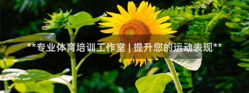 欧陆娱乐会员：**专业体育培训工作室 | 提升您的运