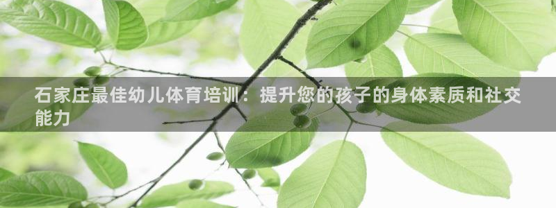 欧陆娱乐信誉吗：石家庄最佳幼儿体育培训：提升您的孩子