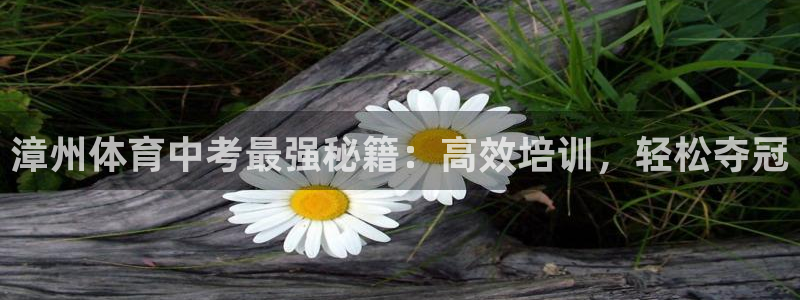 欧陆娱乐图片：漳州体育中考最强秘籍：高效培训，轻松夺