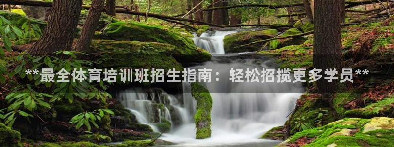 欧陆娱乐登陆平台：**最全体育培训班招生指南：轻松招