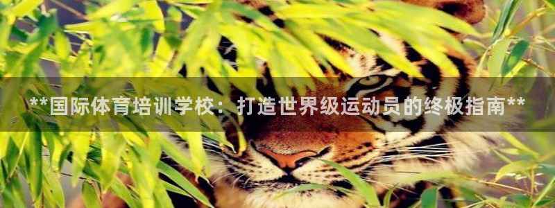 欧陆娱乐是真的吗：**国际体育培训学校：打造世界级运