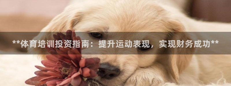 欧陆娱乐平台总代理：**体育培训投资指南：提升运动表