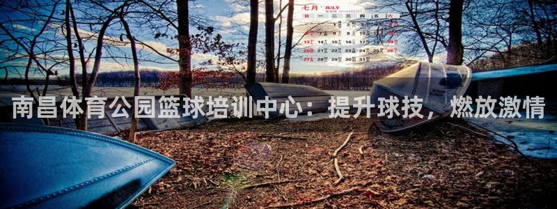 欧陆娱乐登录测速：南昌体育公园篮球培训中心：提升球技