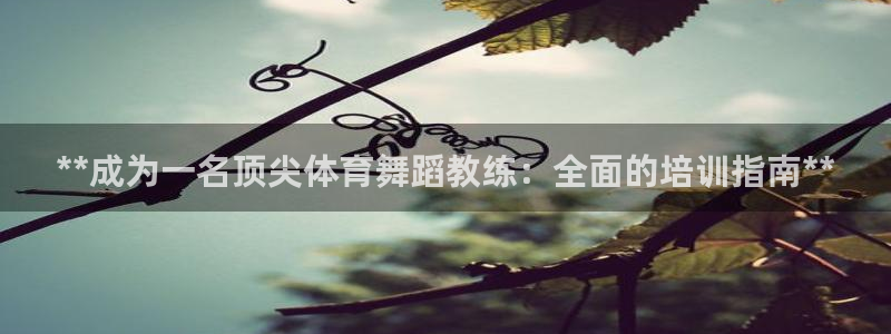 欧陆娱乐平台咋样赚钱快：**成为一名顶尖体育舞蹈教练