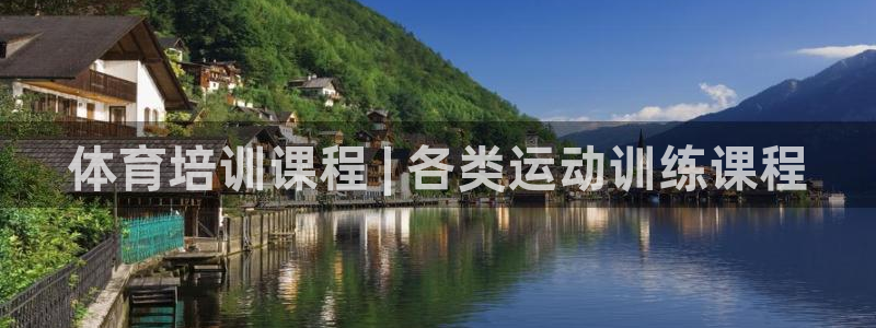 欧陆娱乐平台咋样赚钱：体育培训课程 | 各类运动训练