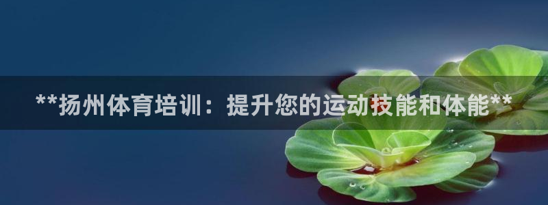 欧陆娱乐图片：**扬州体育培训：提升您的运动技能和体