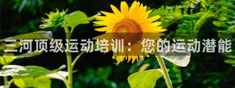 欧陆论坛：三河顶级运动培训：您的运动潜能