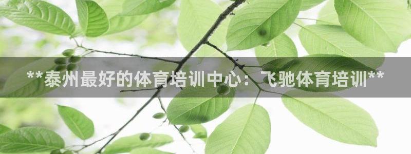 欧陆娱乐登录注册平台下载：**泰州最好的体育培训中心