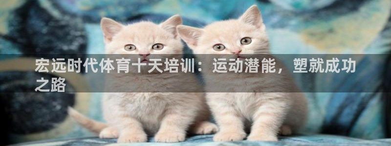 欧陆娱乐挂机怎么玩：宏远时代体育十天培训：运动潜能，