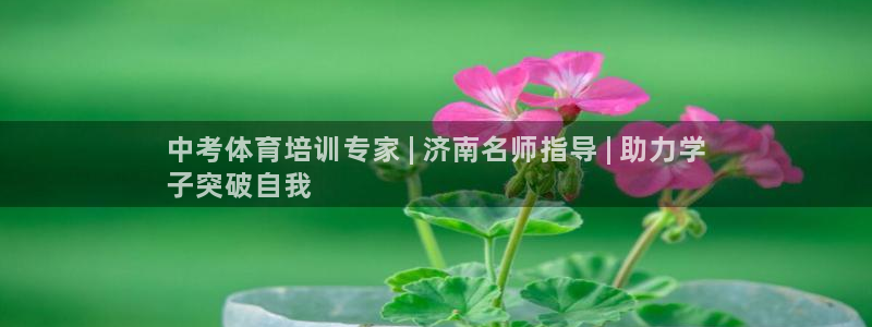 欧陆娱乐登陆平台官网：中考体育培训专家 | 济南名师
