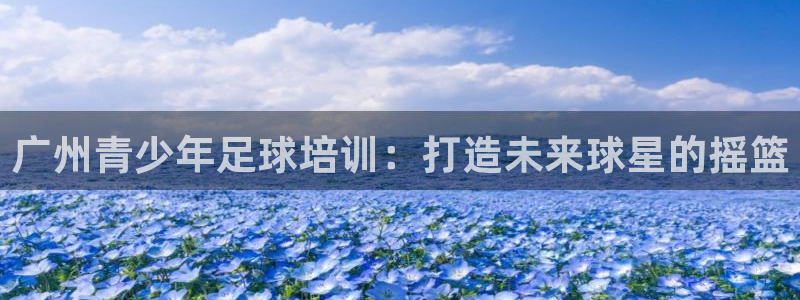 欧陆娱乐官方：广州青少年足球培训：打造未来球星的摇篮