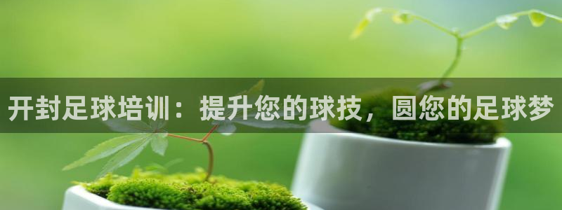 欧陆娱乐app攻略下载：开封足球培训：提升您的球技，