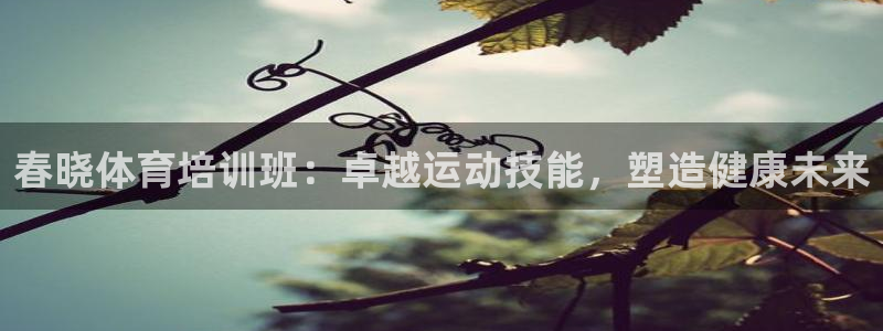 欧陆娱乐脚本怎么用：春晓体育培训班：卓越运动技能，塑