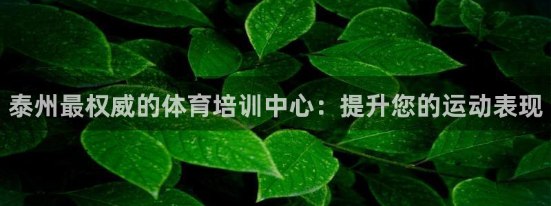欧陆娱乐注册链接怎么弄出来：泰州最权威的体育培训中心