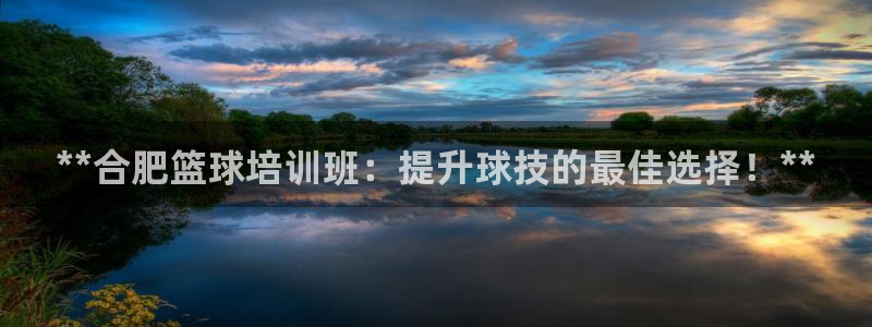 欧陆平台：**合肥篮球培训班：提升球技的最佳选择！*