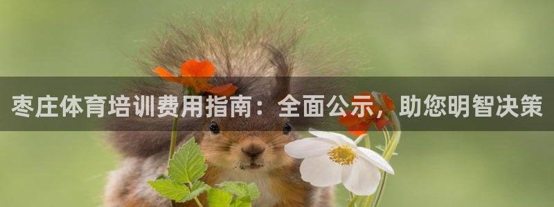 欧陆娱乐能提现嘛现在：枣庄体育培训费用指南：全面公示