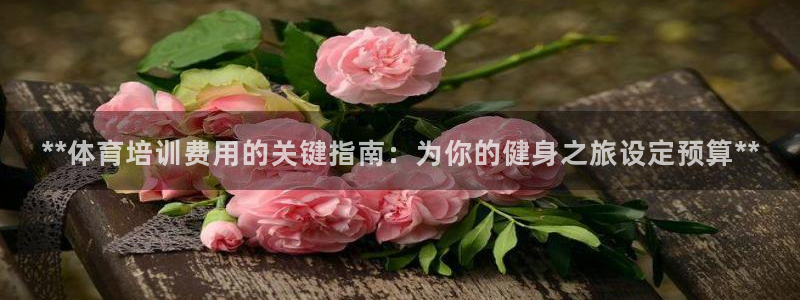 欧陆娱乐是什么：**体育培训费用的关键指南：为你的健