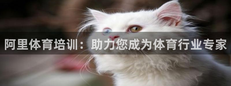 欧陆娱乐注册平台：阿里体育培训：助力您成为体育行业专