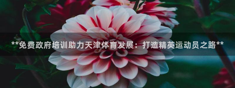 欧陆娱乐官网网址：**免费政府培训助力天津体育发展：