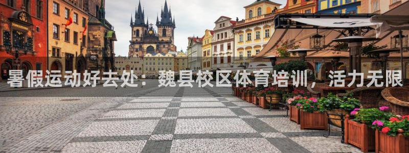 欧陆娱乐app攻略下载：暑假运动好去处：魏县校区体育