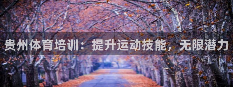 欧陆娱乐登录测速软件：贵州体育培训：提升运动技能，无