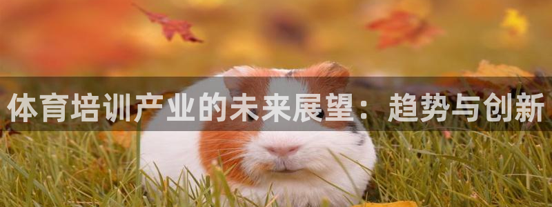 欧陆娱乐官网入口：体育培训产业的未来展望：趋势与创新
