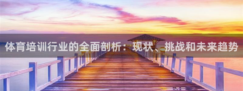 欧陆娱乐登录测速软件：体育培训行业的全面剖析：现状、