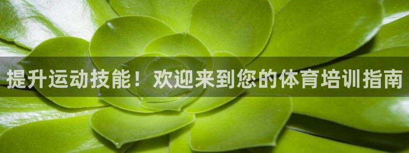 欧陆娱乐是正规平台吗安全吗知乎：提升运动技能！欢迎来