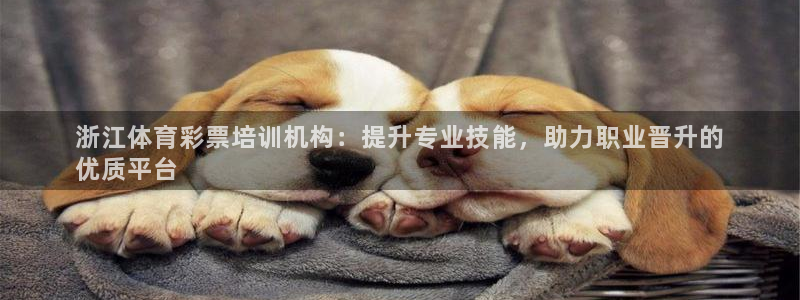 欧陆娱乐合法吗：浙江体育彩票培训机构：提升专业技能，
