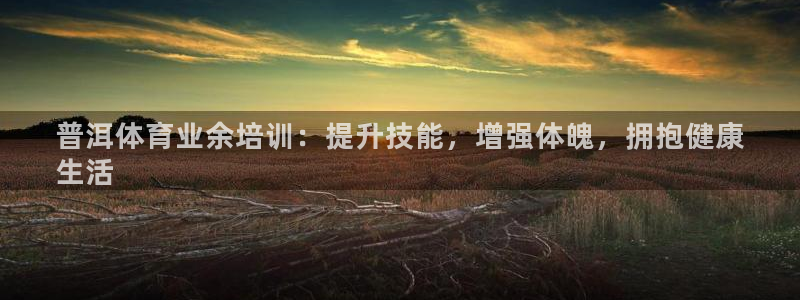 欧陆娱乐app下载：普洱体育业余培训：提升技能，增强