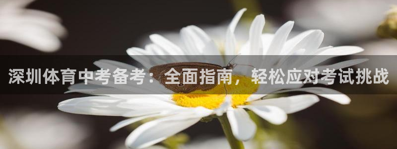 欧陆娱乐测速：深圳体育中考备考：全面指南，轻松应对考