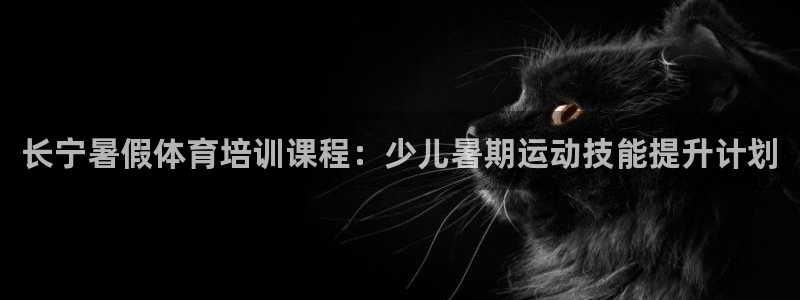 欧陆娱乐访问：长宁暑假体育培训课程：少儿暑期运动技能