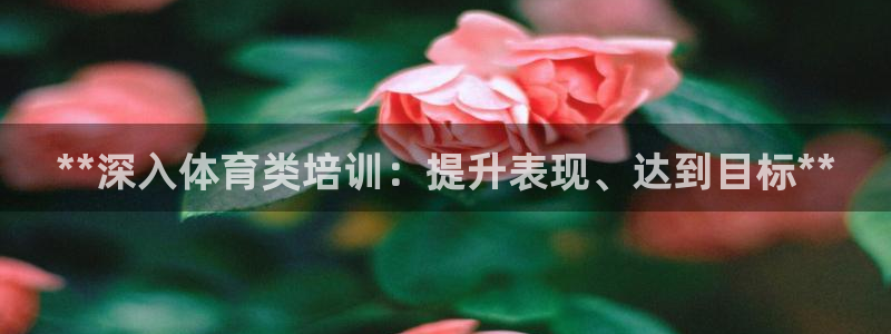 欧陆娱乐平台咋样：**深入体育类培训：提升表现、达到