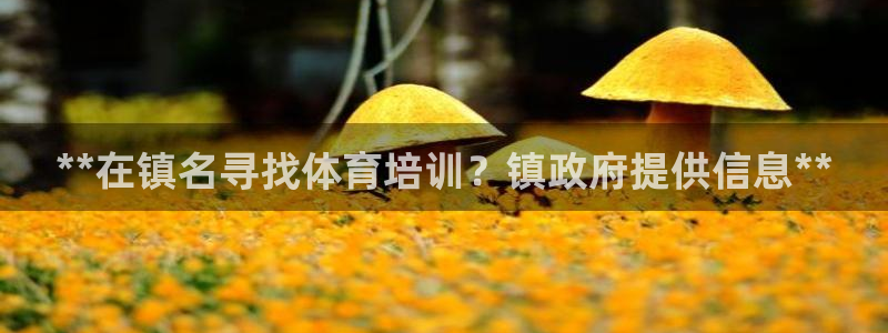 欧陆娱乐推广奖金多少：**在镇名寻找体育培训？镇政府