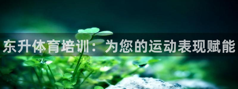 欧陆娱乐官方网站首页：东升体育培训：为您的运动表现赋