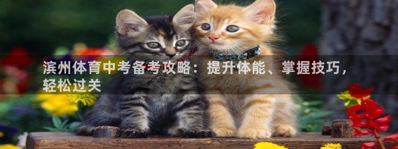 欧陆娱乐游戏：滨州体育中考备考攻略：提升体能、掌握技