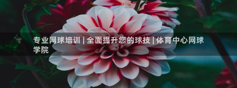 欧陆娱乐怎么样：专业网球培训 | 全面提升您的球技 