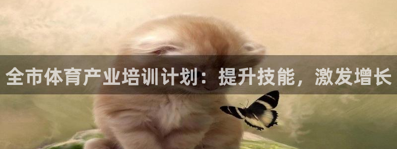 欧陆娱乐登录官网网址：全市体育产业培训计划：提升技能