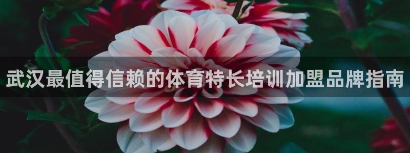欧陆娱乐平台咋样：武汉最值得信赖的体育特长培训加盟品