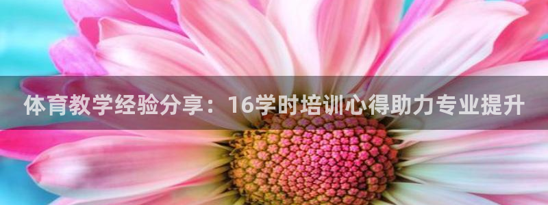 欧陆娱乐是那个旗下的品牌：体育教学经验分享：16学时