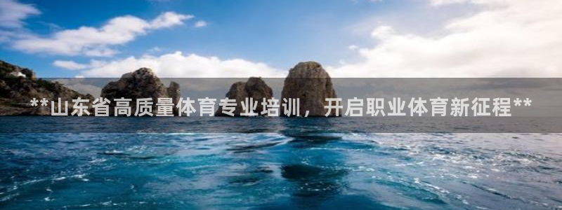欧陆软件官网：**山东省高质量体育专业培训，开启职业
