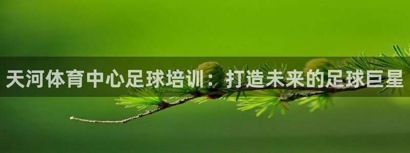 欧陆娱乐注册代理：天河体育中心足球培训：打造未来的足