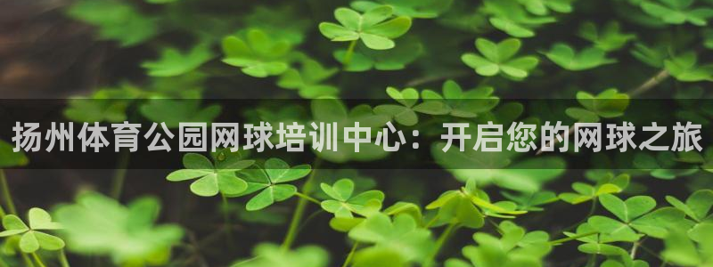 欧陆娱乐有限公司官网：扬州体育公园网球培训中心：开启