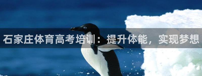 欧陆娱乐注册链接安全吗可靠吗：石家庄体育高考培训：提