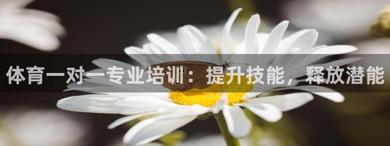 欧陆娱乐客服服务：体育一对一专业培训：提升技能，释放